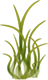 https://images.atelier801.com/1507c21124b.png